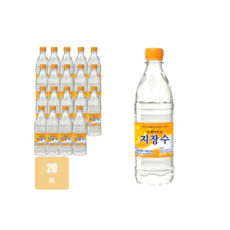 동해약천골지장수 생수 [사은품증정], 20개, 500ml