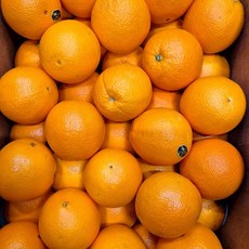 수입과일 L 블랙라벨 오렌지 10입 [P]