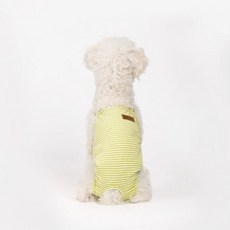 기저귀 강아지 위생팬티 생리대 속옷 및 용품 간식 met+8129rw, S, 옐로우