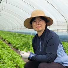 양평희망농장 모듬 쌈채소 유러피안 유럽상추 로메인 케일 모듬쌈 쌈야채, 1박스, 1kg