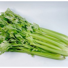 [후메디]국내산 샐러리 아삭한 생식 샐러드 착즙용 건강채소, 1박스, 1kg
