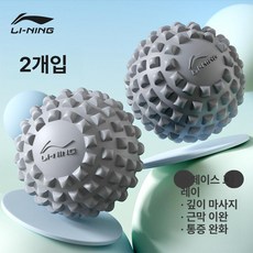 데이하우스 마사지볼 스트레칭 지압 근육이완 지압볼, 그레이 1단계모델2개세트고급마사지, 기본 모델명/품번