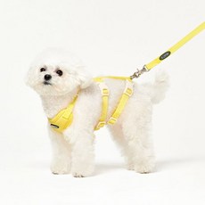 프로젝트21 리프팅 하네스 S 강아지 관절 보호 가슴줄 소형견 뒷다리 슬개골 탈구 프로젝트21 관절 보호 하네스 S 강아지 슬개골 탈구 무릎 십자인대 449411, 그레이 하네스 S