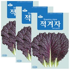 세인화분 적겨자 2000립 - 적겨자씨, 3개