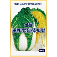 산들 노랑김장 배추씨앗 500립 내엽이 노랗고 맛 좋은 대표 김장배추씨 종자, 3개