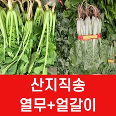 국산 어린 열무 얼갈이배추 세트, 1개, 열무2kg + 얼갈이2kg