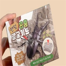 호호마켓 곤충 발굴 키트 발굴장난감