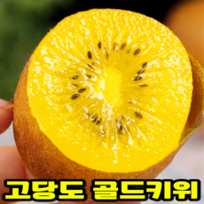 [전국최저가] 재업로드요청 달콤폭발 고당도 골드키위, 1박스, 골드키위 5kg