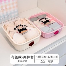 內衣內褲襪子收納盒三合一整理箱，貼身衣物分格收納神器，抽屜式內衣褲襪子整理盒, 無格+10格（有蓋款）【收納內衣+內褲】, 1個