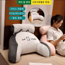 쿨링 아이스빈 대형 쿠션 다기능허리등쿠션요추방석 쇼파 쿠션 대형 허리 통증 완화, [1개입] 허스키, 1개