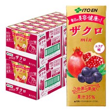 이토엔 석류 mix 믹스 200ml 종이팩 24개×2 케이스 (48개)