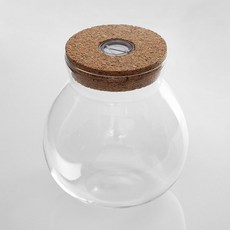 빌바오 마리모 키우기 LED 코르크 유리병 12X13CM 수생식물 어항장식 미니어항