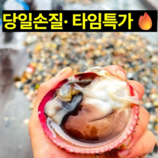 [당일조업] 손질 여수 초코새조개, 1박스, 200g