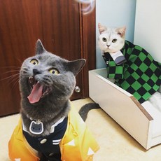 臺灣出貨 鬼滅之刃寵物衣服cosplay拍照道具貓狗衣服炭治郎禰豆子蝴蝶忍, 煉獄,S, 1個