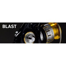 DAIWA BLAST 4000H 磁油防水平價大物紡車捲線器