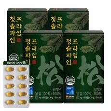 청솔 파인 솔잎농축 솔잎 송침유 정품, 4개, 60회분