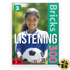 Bricks Listening 300 Level 3