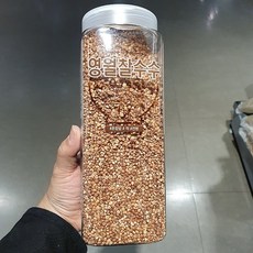 월드그린 영월찰수수, 1kg, 1개