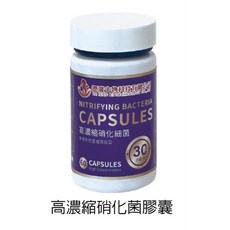 德豐生物科技 高濃縮硝化細菌膠囊 觀賞魚益生菌 60粒 淡海水適用 30億活菌, 1個
