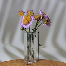 迷你玻璃小花瓶 水培插花 微觀世界模型 桌面裝飾擺件, 條紋直筒花瓶