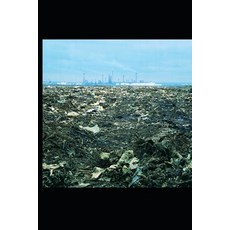 (영문도서) Stubble Burning And Its Impact On Health And Environment In Delhi-NCR Paperback, Independently Published, English, 9798863502137