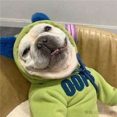 法鬥/巴哥/小狗保暖衣服 秋冬可愛寵物加絨連帽衛衣, 藍紫色的加絨衛衣, 1個