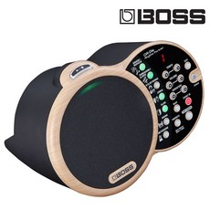 BOSS DR-01S Rhythm Partner 伴奏機 傳統樂器專用虛擬打擊樂手, 1個