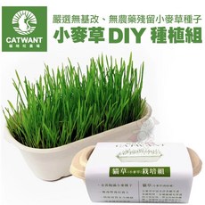 Otis CATWANT 貓咪旺農場 小麥草DIY種植組 安心栽種 幫助化毛 天然貓草 貓咪零食, 1個