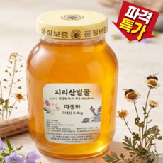 [청순담] 지리산 벌꿀 국내산100% 야생화꿀 사양꿀, 1개, 2.4kg