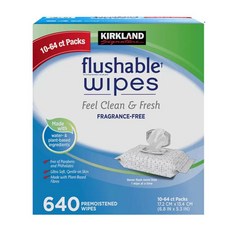 Kirkland Signature 沖水濕巾 Feel Clean & Fresh 不含香料, 1入, 64包