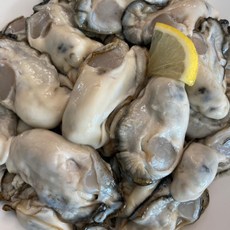 제철 통영굴 산지 생굴 1kg 세척 굴(오후6시이전주문건다음날도착), 1개, 생굴[중 size] 1kg