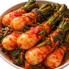 [특가 판매] 100%국내산 전통비법을 담은 전라도 초롱무우김치 총각 | 김치반장, 5kg, 1개