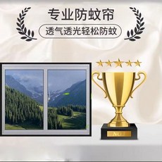 窗紗沙網防蚊傢用自粘免打孔隱形透光簡易紗窗戶網, 寬60釐米髮灰沙黑邊,高度80釐米加密50目