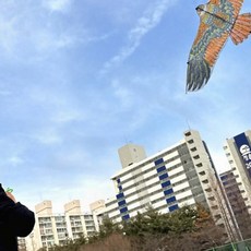 독수리연 110cm 연날리기 조류퇴치기 새쫓기 민속놀이 야외놀이 허수아비, 1개