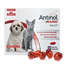 안티놀 래피드 30정 강아지 고양이 관절 조인트 영양제, 혈액순환, 1개