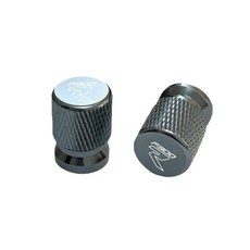 오토바이 알루미늄 타이어 휠 부품 밸브 스템 캡 커버, 2. Titanium