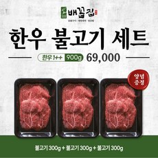 배꼽집 프리미엄 한우1++ 불고기900g/ 특제양념 포함 마장동매장, 1개, 900g