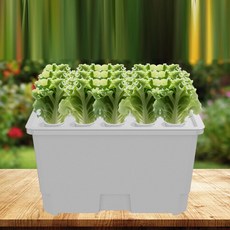 수경재배키트 가정용 식물재배 수경 재배 시스템 키트 다용도 심기 상자 정원 과일 야채용 경량 용기, 2)White