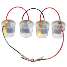 초등과학 전도체역할 소금물 전해질 과일전지 실험키트 전해질실험기구 액체이용, 1세트