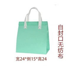 포장 보온백 100개 도시락 가방 세트 그린 테이크아웃 배달 봉투 일회용 보냉, 1개, B. 연녹색 중형 100g 24x24x15cm