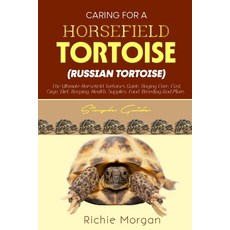 (영문도서) CARING FOR A HORSFIELD TORTOISE (RUSSIAN TORTOISE) Simple guide: The Ultimate Horsfield Torto... Paperback, Independently Published, English, 9798869614254