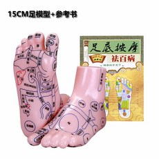 발 경혈 모형 교육 가정용 혈자리 한의원 마사지 모델, 1세트, 15CM 고화질 모델+참고서