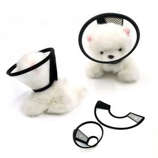 넥카라 반려견목보호 애완동물 목보호대 소형vnd22sMh