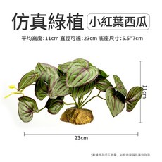 Otis CLEEN 其鱗 仿真綠植 寵物環境裝飾 假花 爬蟲箱裝飾 角落水族同款, 1個, 小紅葉西瓜