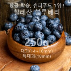 [전국 도전!] 생블루베리 칠레산(15mm/18mm/20mm 개당 125g) 냉동제품 소과 비교불가!, 1세트, (총 250g) 대과 14~16mm(125gx2개)