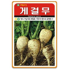 [팜앤리빙] 게걸무 씨앗 300립 토종 게걸무 종자, 3개