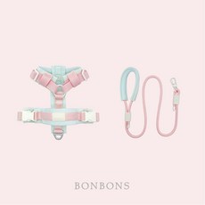 봉봉스 강아지 하네스+리드줄 세트