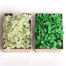 화연양화 톤온톤 박스 수국 2개입 프리저브드플라워 시들지않는생화, 05 리피그린