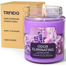 라벤더 라일락 블라썸 냄새 가정용 향초 제거 반려동물 연기 음식 및 기타 99 빠르게 향이 강한 여성용 프리미엄 소이 캔들 세트, -Lavender & Lilac Blossom