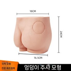 둔부모형 실습용 훈련 마네킹 신체 부위 병원 엉덩이 근육 주사 모델, 둔부모델